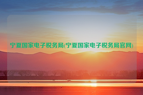 宁夏国家电子税务局(宁夏国家电子税务局官网)